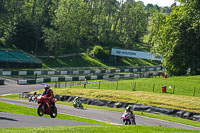 cadwell-no-limits-trackday;cadwell-park;cadwell-park-photographs;cadwell-trackday-photographs;enduro-digital-images;event-digital-images;eventdigitalimages;no-limits-trackdays;peter-wileman-photography;racing-digital-images;trackday-digital-images;trackday-photos
